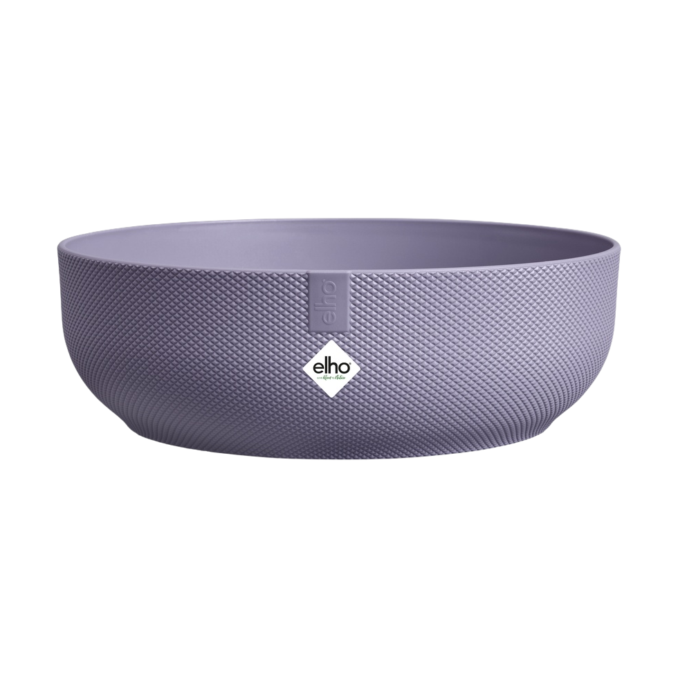 Bowle Jazz Ø28 cm lavendel | Plantorama