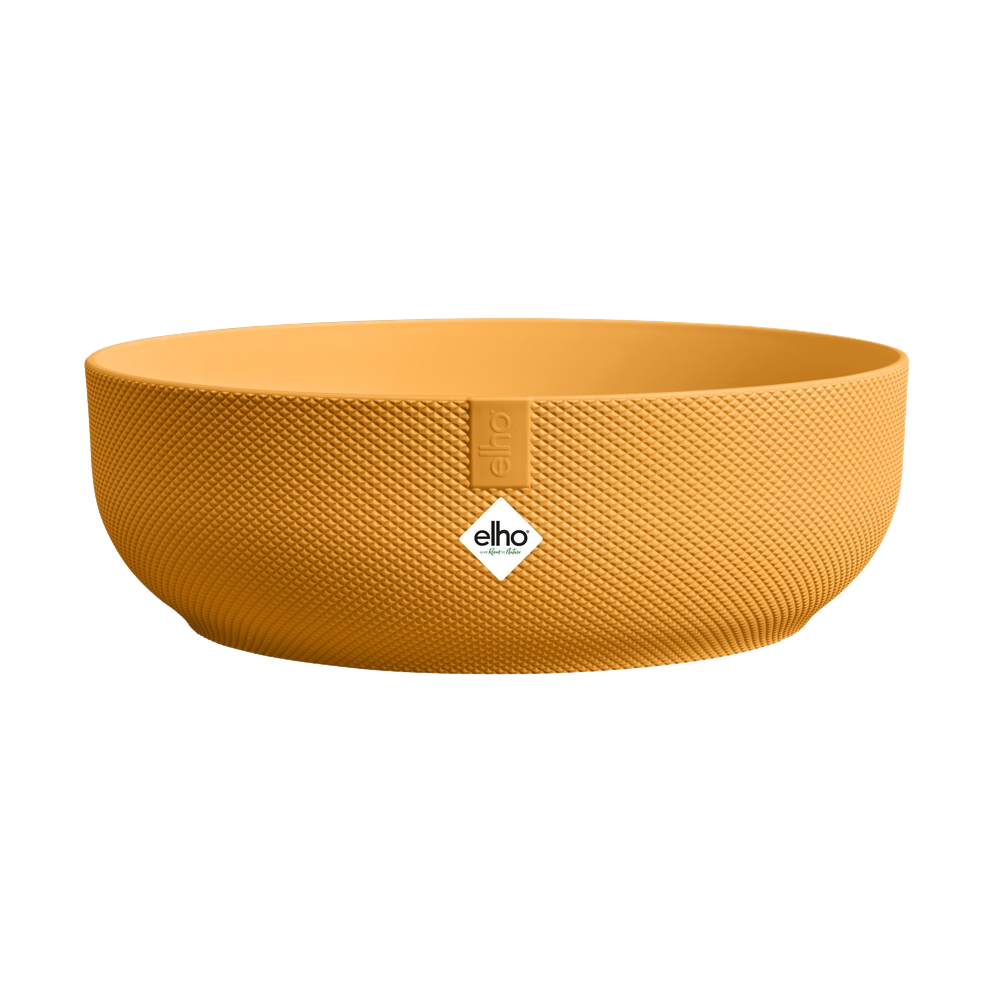 Bowle Jazz Ø28 cm amber yellow | Plantorama