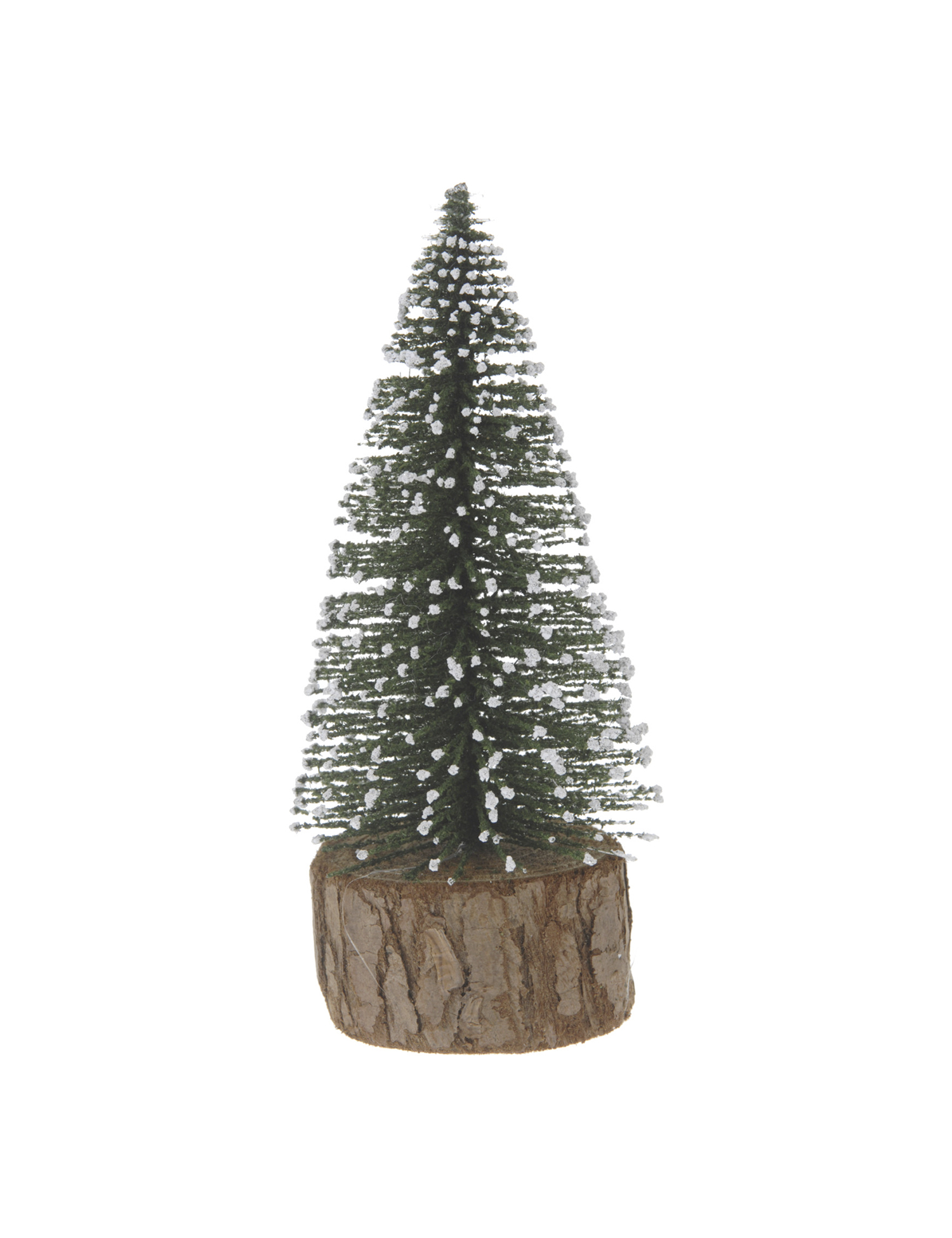 Grantræ H14 cm grøn | Plantorama