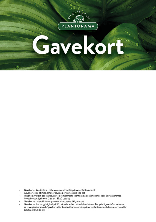 Gavekort billde
