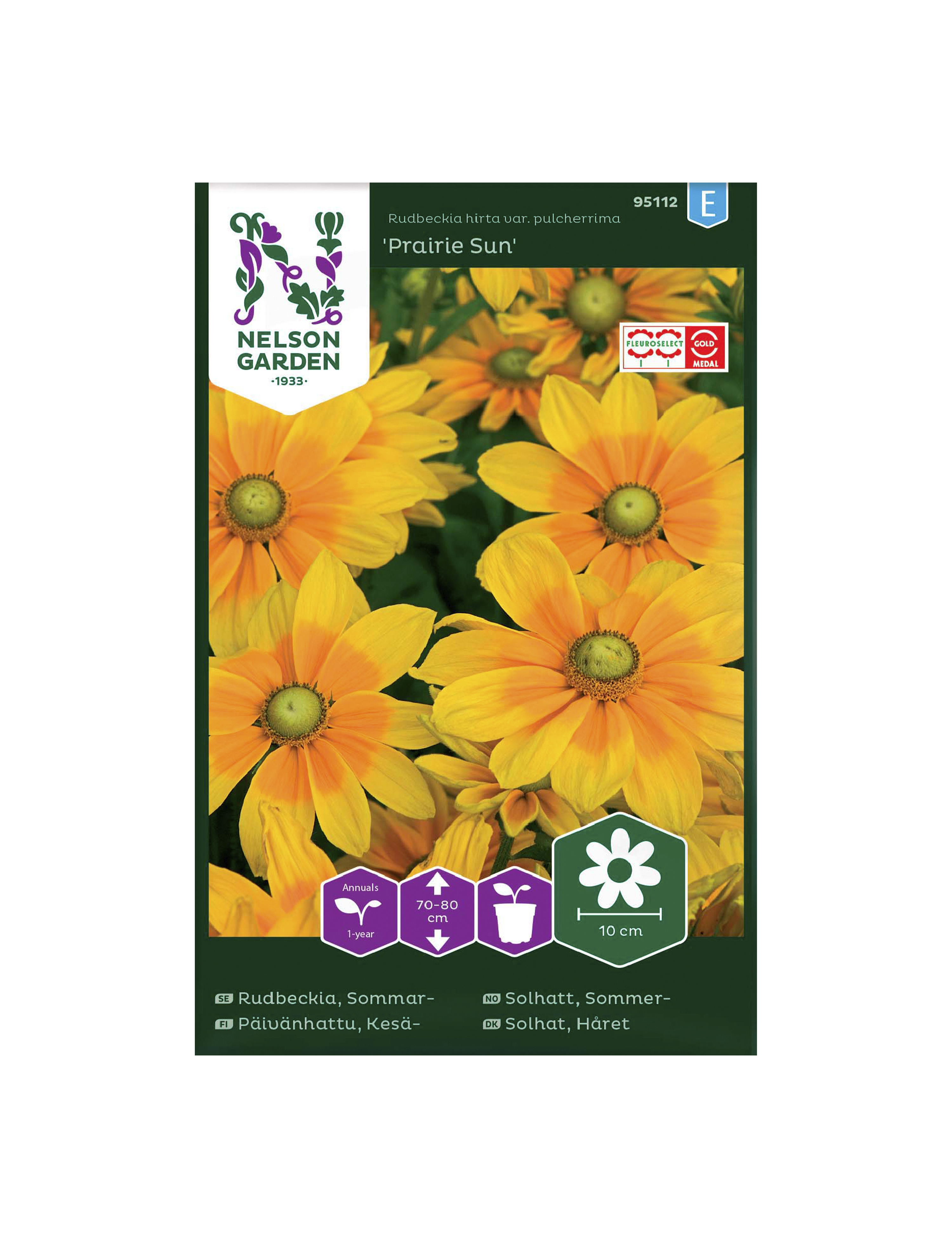 Håret solhat frø, Rudbeckia hirta var. pulcherrima. 'Prairie Sun ...