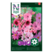 Sommerblomster