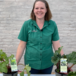 Rabarber, Rheum rhabarbarum 'Elmsblitz', 3 liter potte